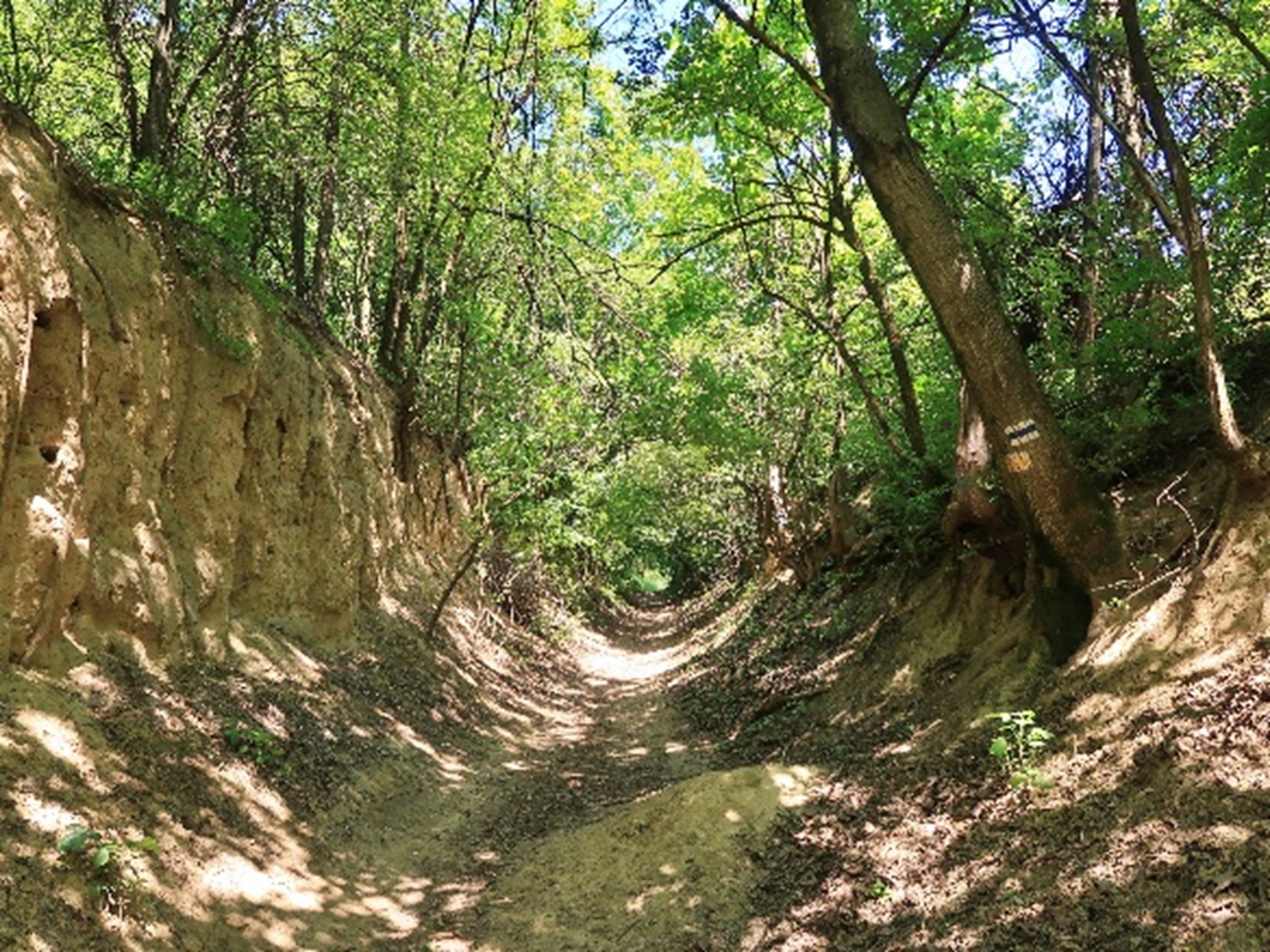 Szekszárdi Szurdik túra - Image 3