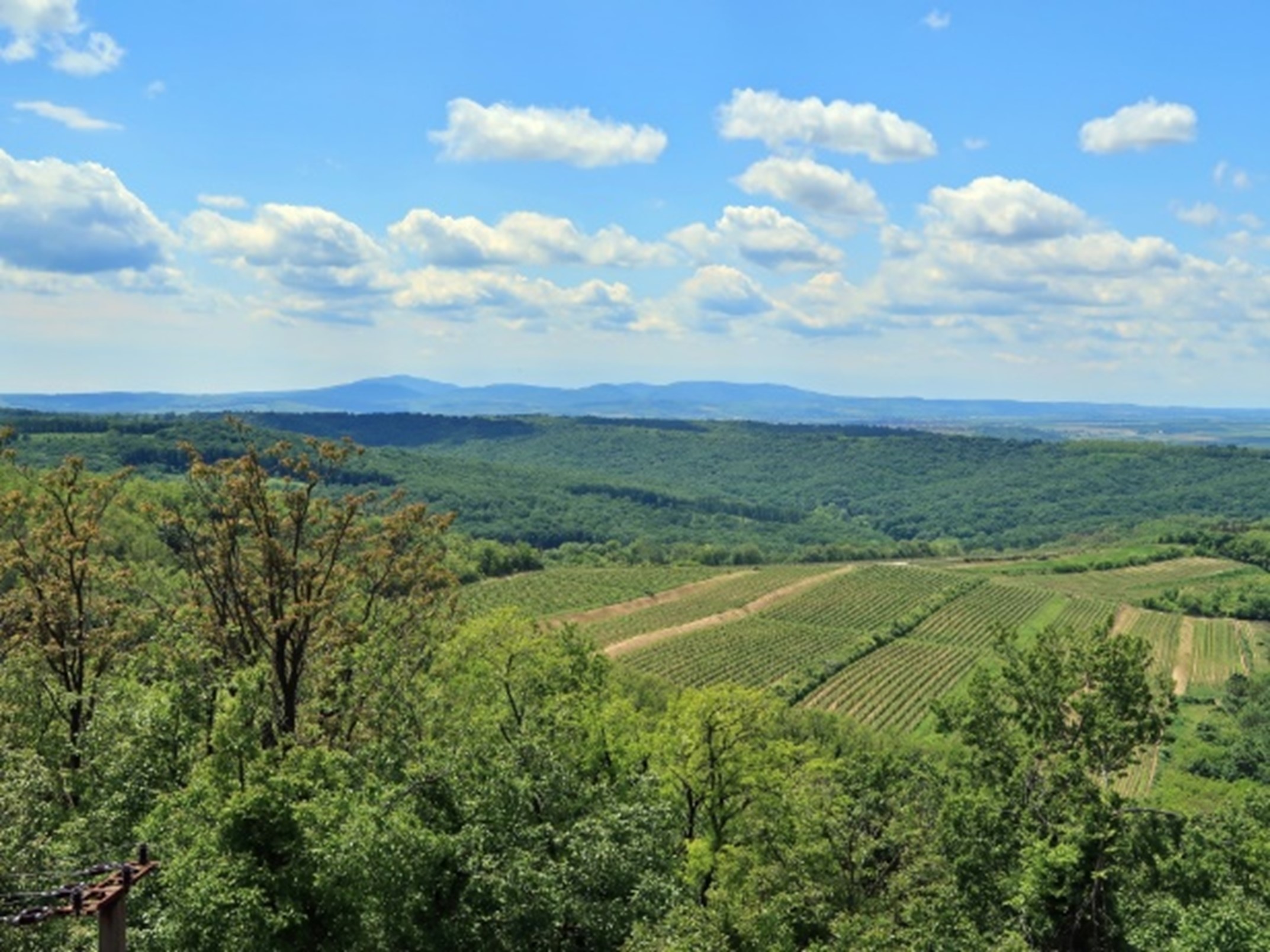 Szekszárdi Szurdik túra - Image 2