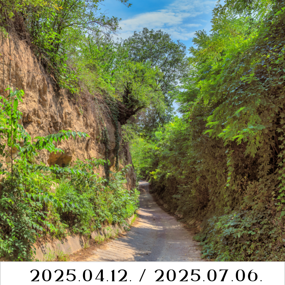 Szekszárdi Szurdik túra